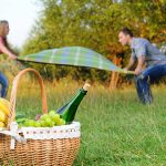 Best Outdoor Picnic Basket For Home
