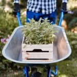 Best Garden Tool Caddy For Home