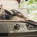 Best LG washing machines for quiet operation