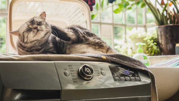 Best LG washing machines for quiet operation