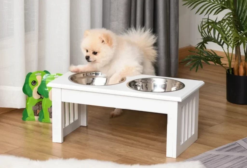 Dog Feeding Station Ideas for Bowls Food and Leash Storage