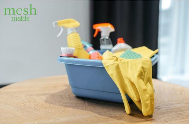 Professional House Cleaning Services in Brampt